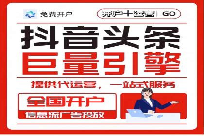 短视频信息流广告投放策略与案例分析